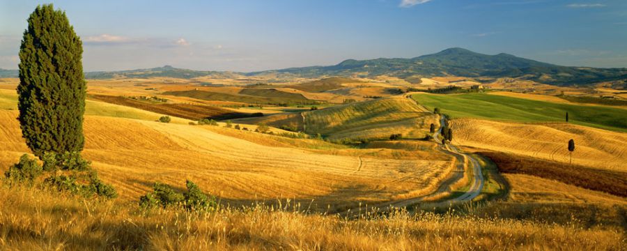 MIPAAF: al via i Distretti del Cibo