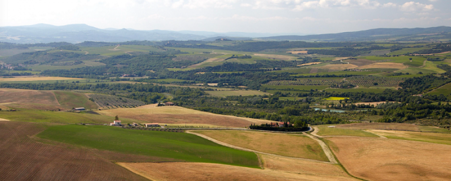 Consorzio Tutela vini Montecucco: anteprime di Toscana 2018