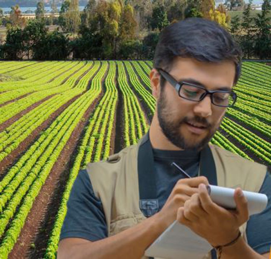 Media e comunicazione nell’agroalimentare e ambiente