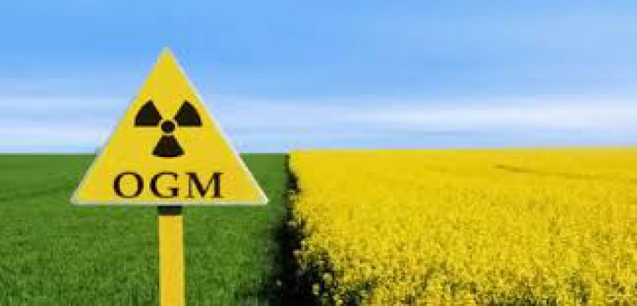 Nuove tecniche di miglioramento genetico in agricoltura