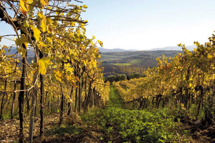 Un febbraio all’insegna delle eccellenze toscane
