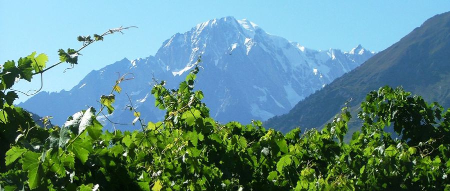 Valle d'Aosta tra sport, natura e vini