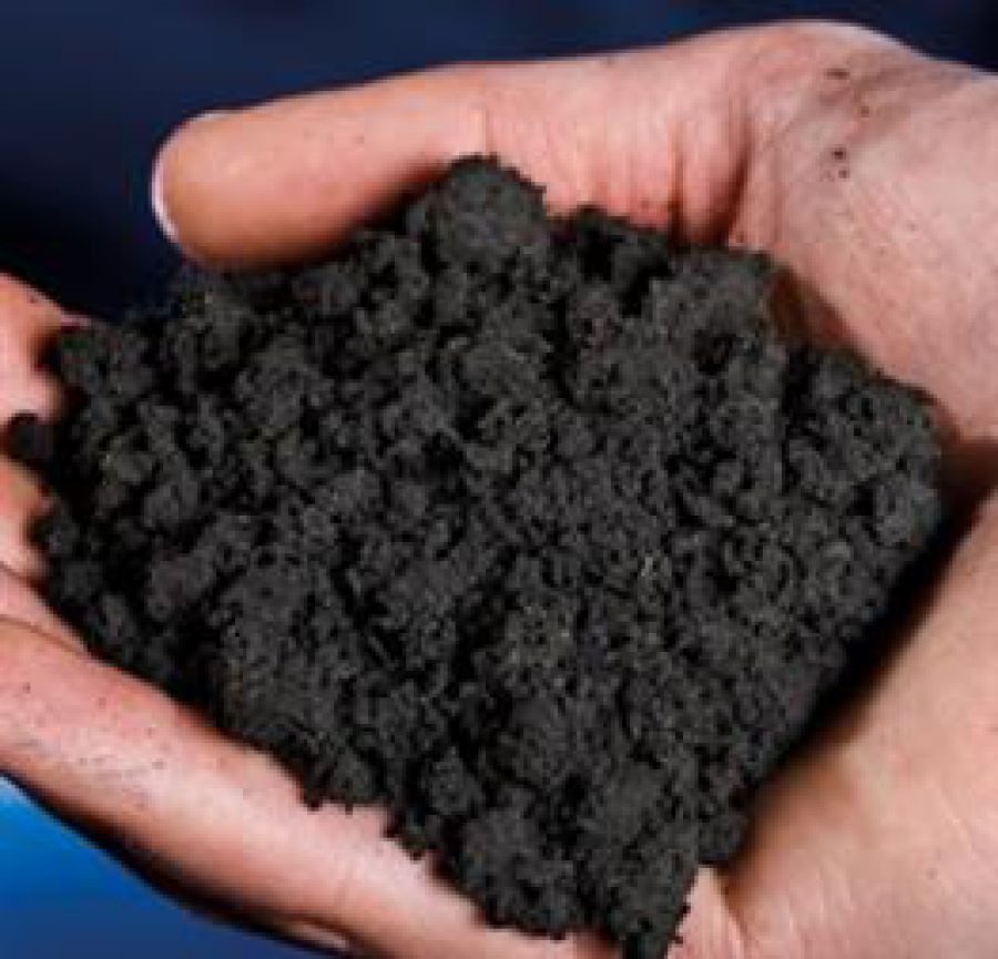 Carta Italiana del Carbonio Organico del suolo