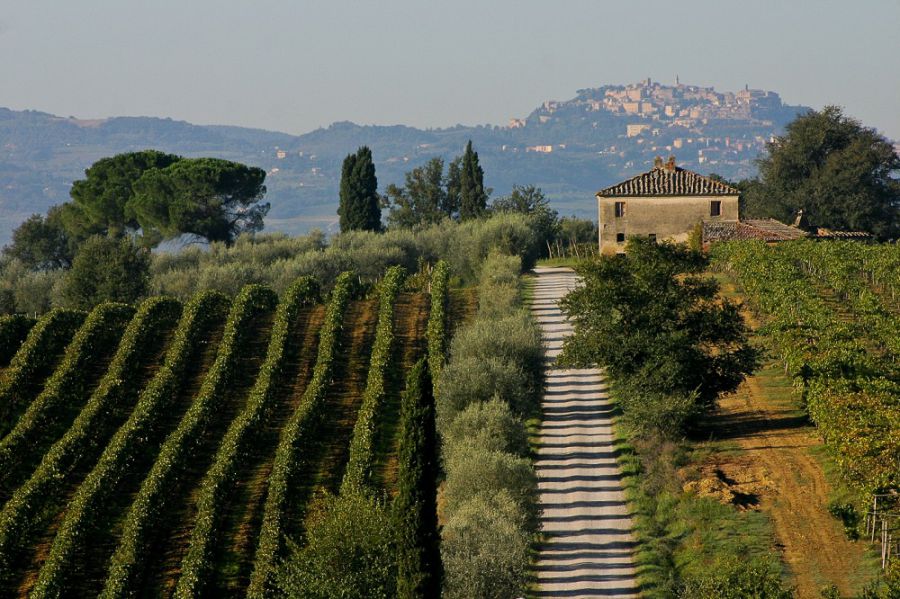 TerraNobile Montepulciano, la nuova associazione di produttori