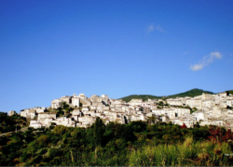 Saracena Wine Festival