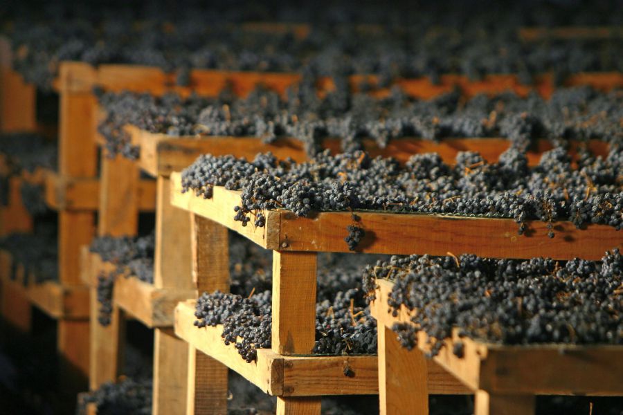 Sostenibilità in agricoltura: Montefalco obiettivo a 75% di fitofarmaci in meno con un risparmio 60milioni di euro per l’Umbria