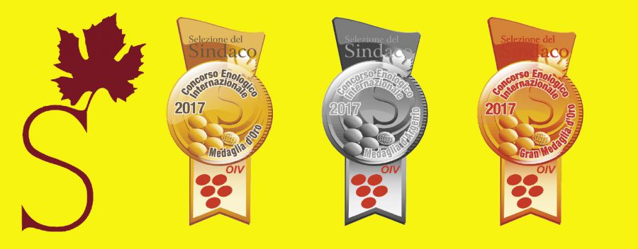 Torna la “Selezione del Sindaco”, XVII edizione