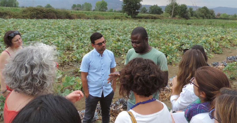 Rapporto sull'Agricoltura Sociale in Italia