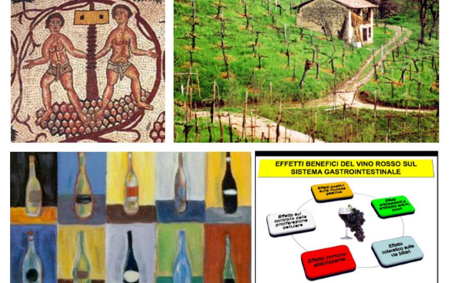 Storia, Salute, Paesaggio: tre modi di declinare il vino