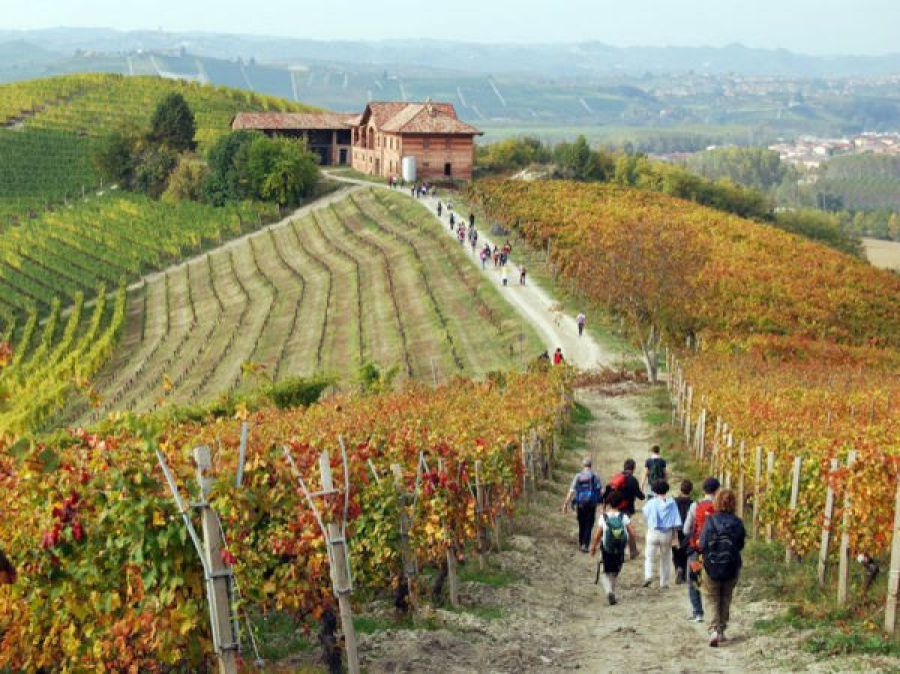 Denominazioni d'origine e turismo del vino
