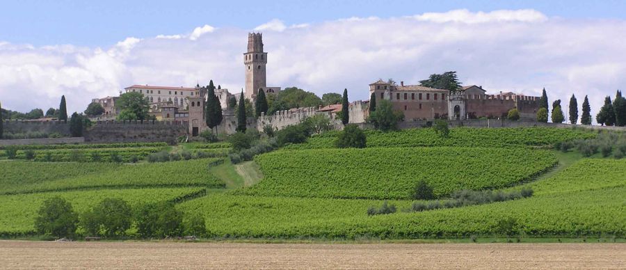 Susegana, il Veneto al 300x100