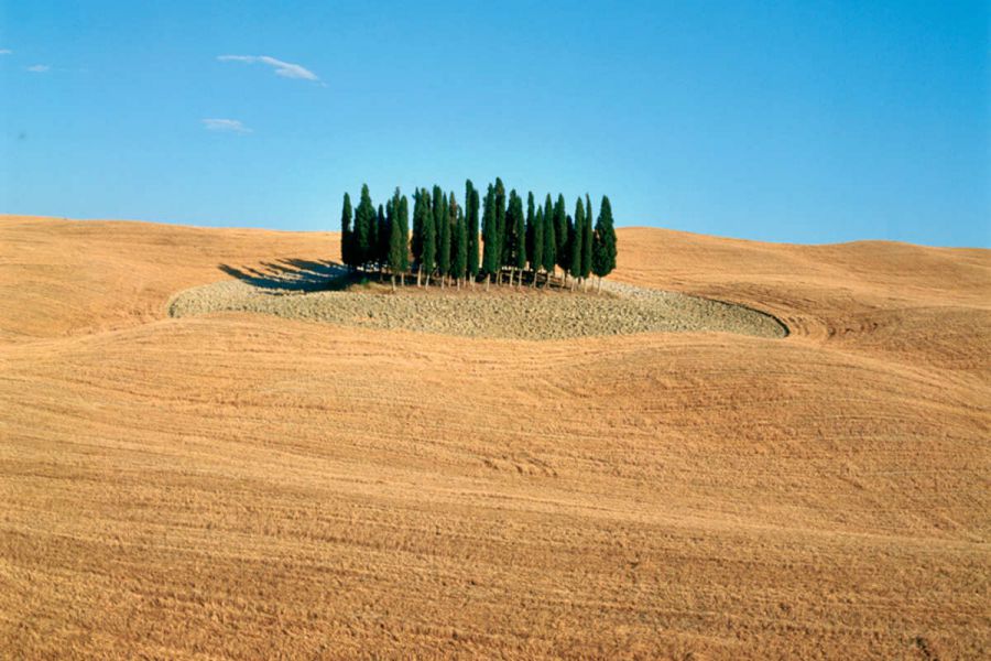 IX edizione di Orcia Wine Festival