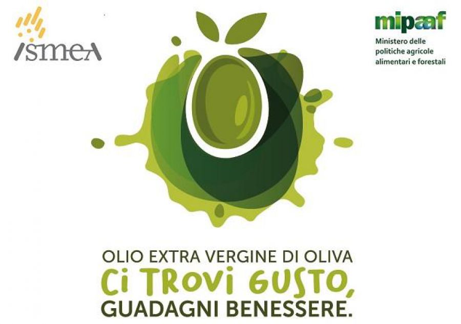 L'olio come il buon vino: degustarlo per conoscerlo