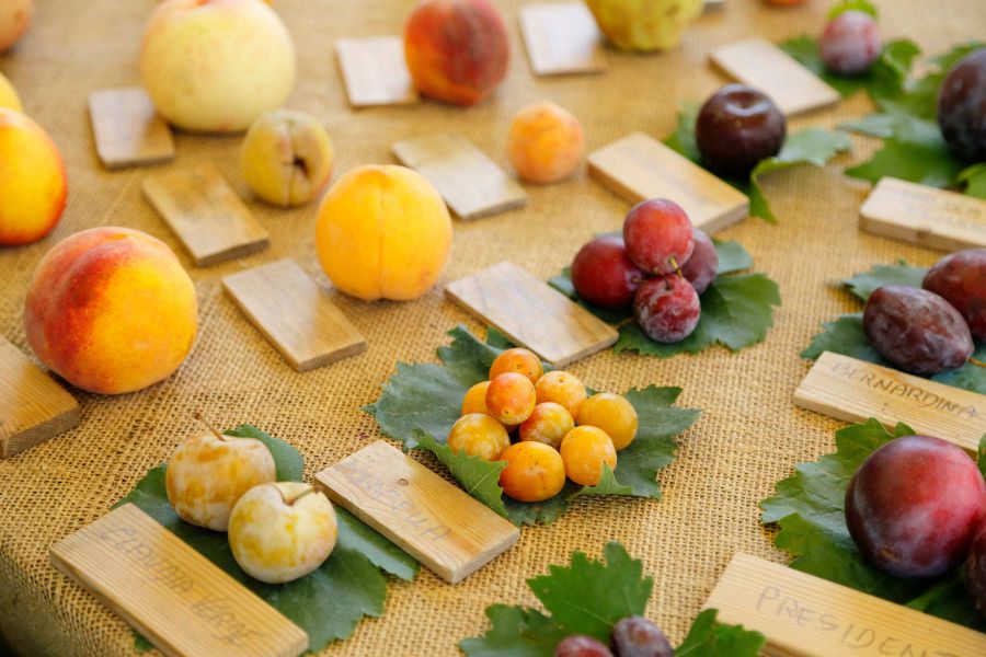 La biodiversità tosco-emiliana al Rural Market di Parma