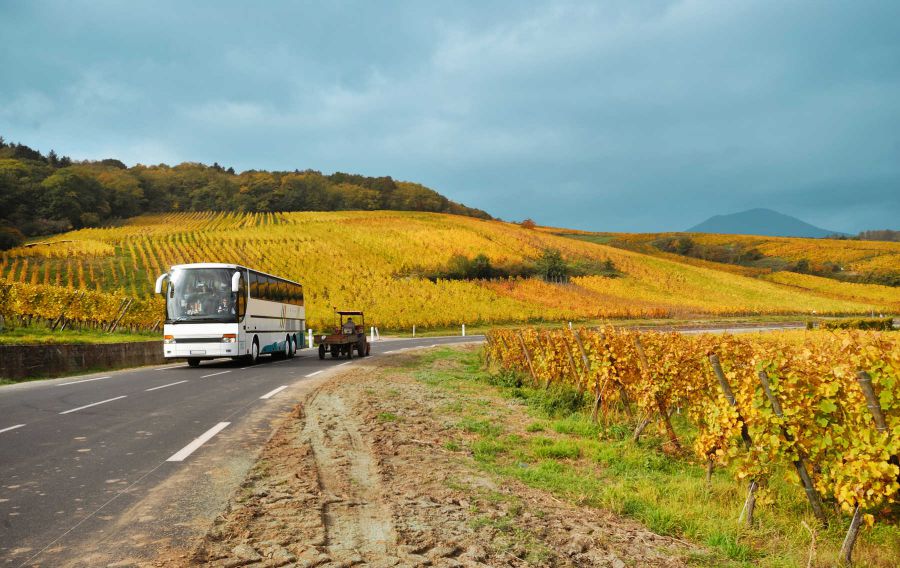 Tour in bus lungo la Strada del Franciacorta
