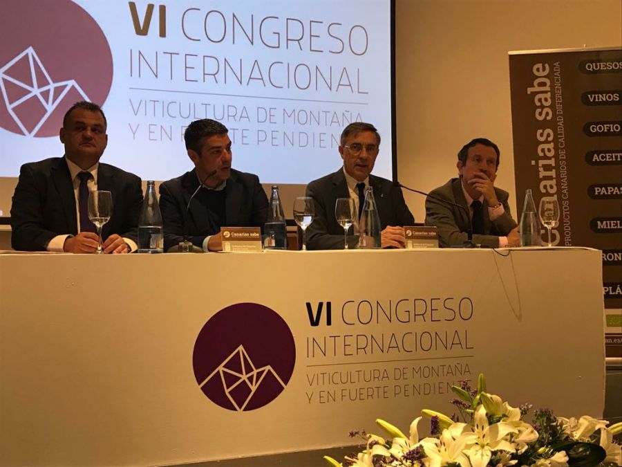 Viticoltura eroica fenomeno mondiale. Vale il 5% dei vigneti ma è sentinella di biodiversità e tutela del paesaggio