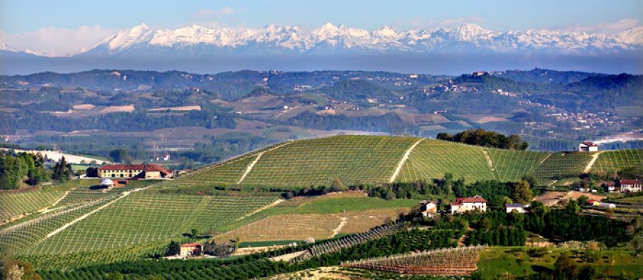 Un Trekking nel cuore delle Langhe