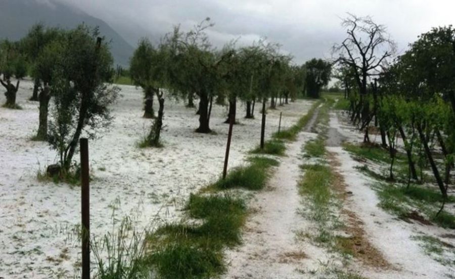 Gli effetti della grandinata nel Sannio