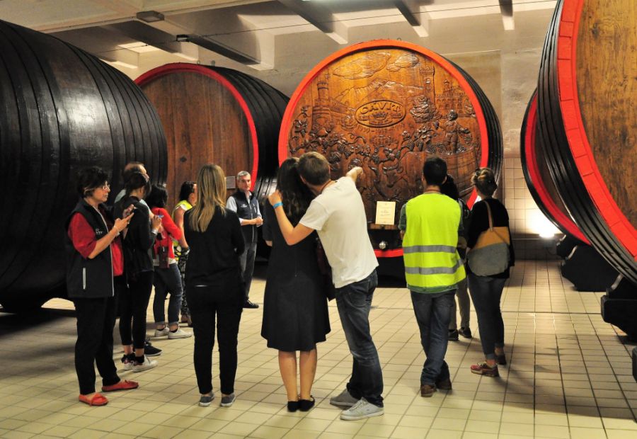 In Trentino Alto Adige torna Cantine Aperte con 16 appuntamenti