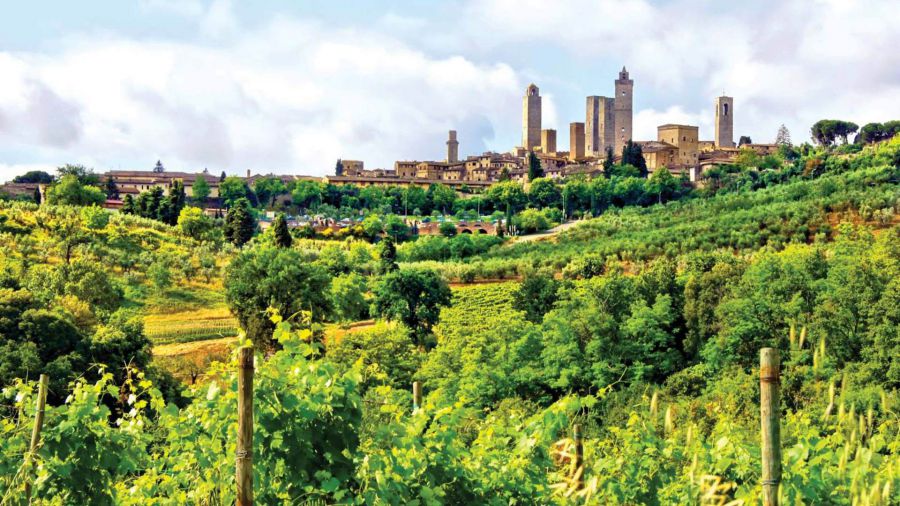 Consorzio del Vino Vernaccia di San Gimignano, ritorno alle origini