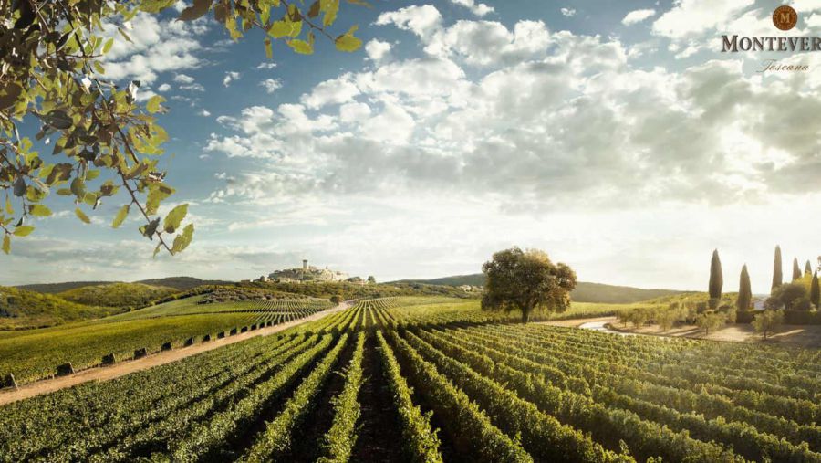 VinoVip al Forte a Forte dei Marmi