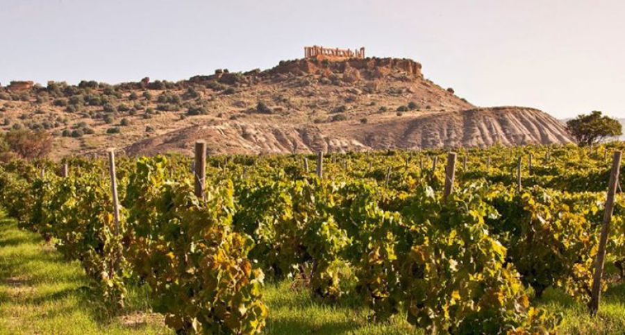 Strada del Vino e dei Sapori della Valle dei Templi