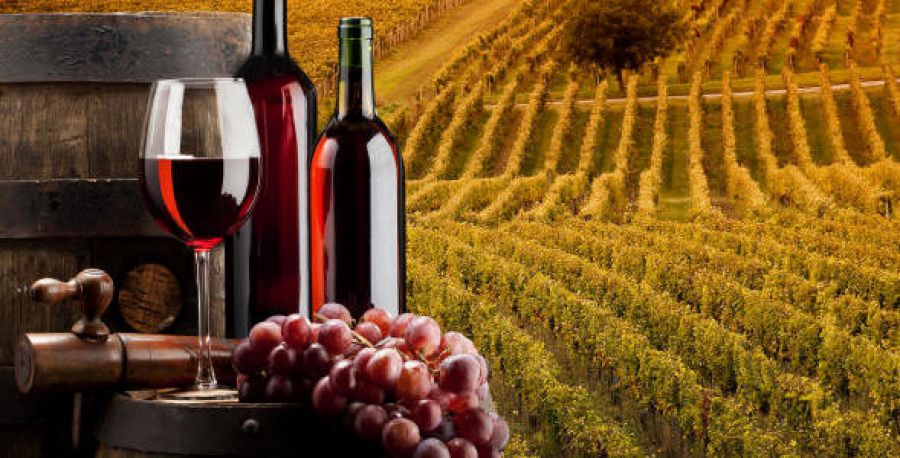 AENOTUR al Wine South America