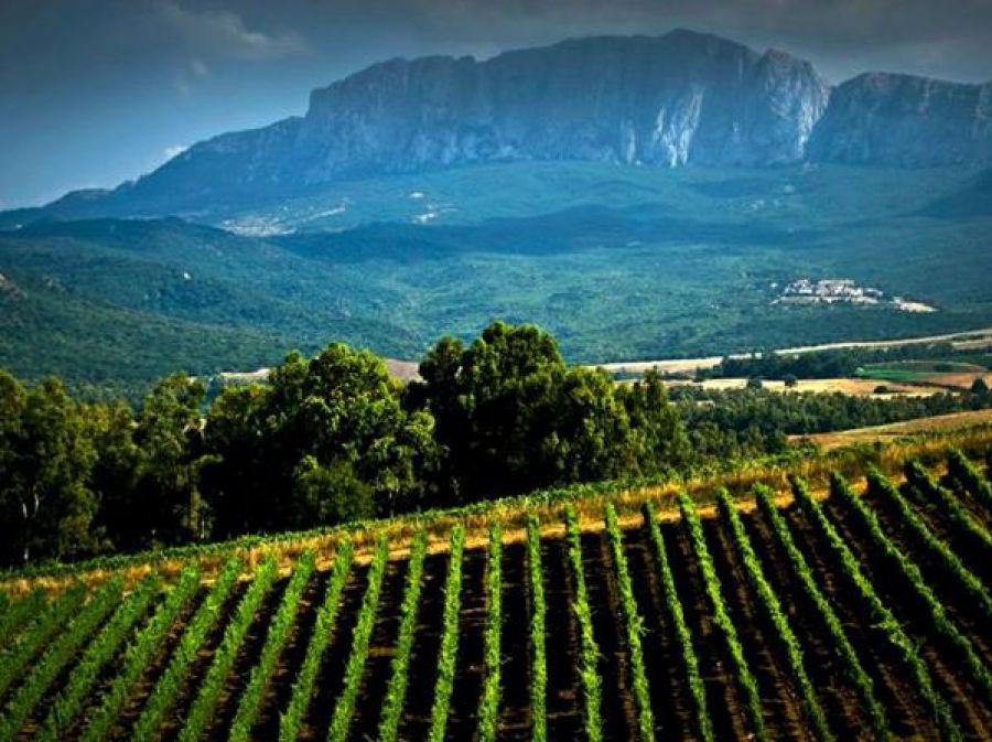 Bolle d’altitudine: Sicilia-Piemonte andata e ritorno
