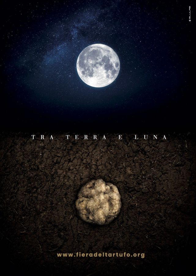Tra terra e luna, il Tartufo Bianco d'Alba