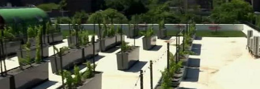 Bottiglie metropolitane tra castelli e grattacieli