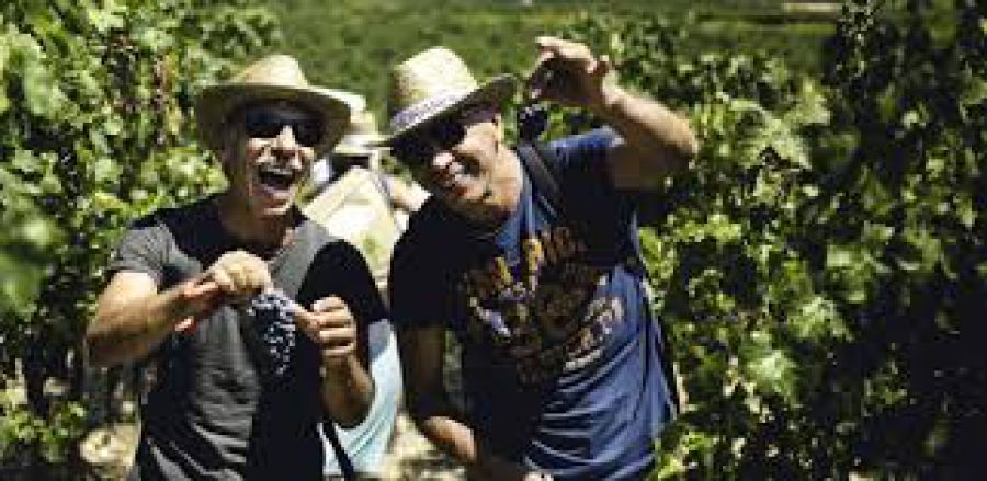 Mandrarossa Vineyard Tour Edizione 2018