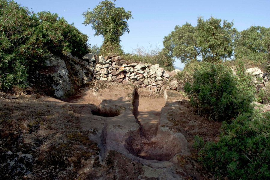 I palmenti di Ruinas