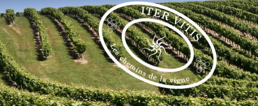 Iter Vitis Awards: posticipata la data di consegna