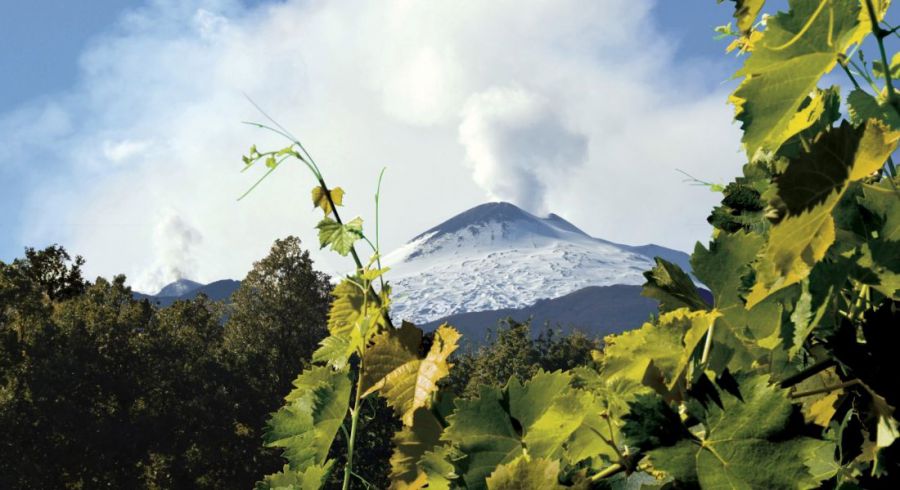 Etna, una risorsa per tutto il vino siciliano