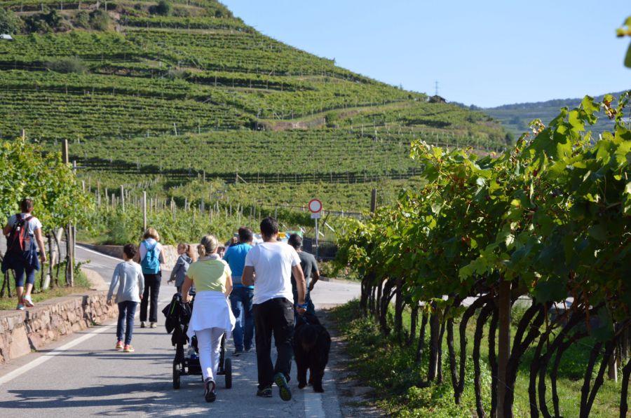 La Festa dell'Uva di Verla di Giovo compie 61 anni