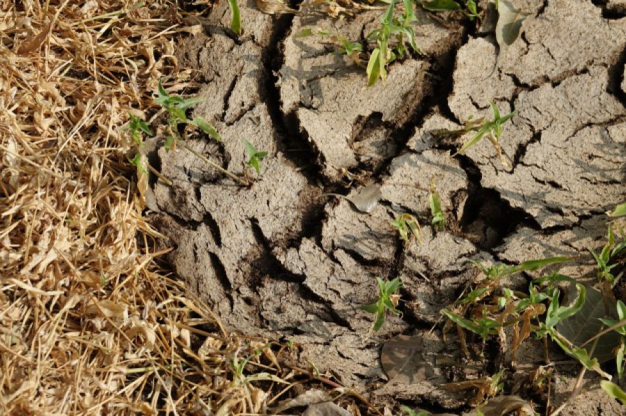 Siccità: chiesto anticipo Pac