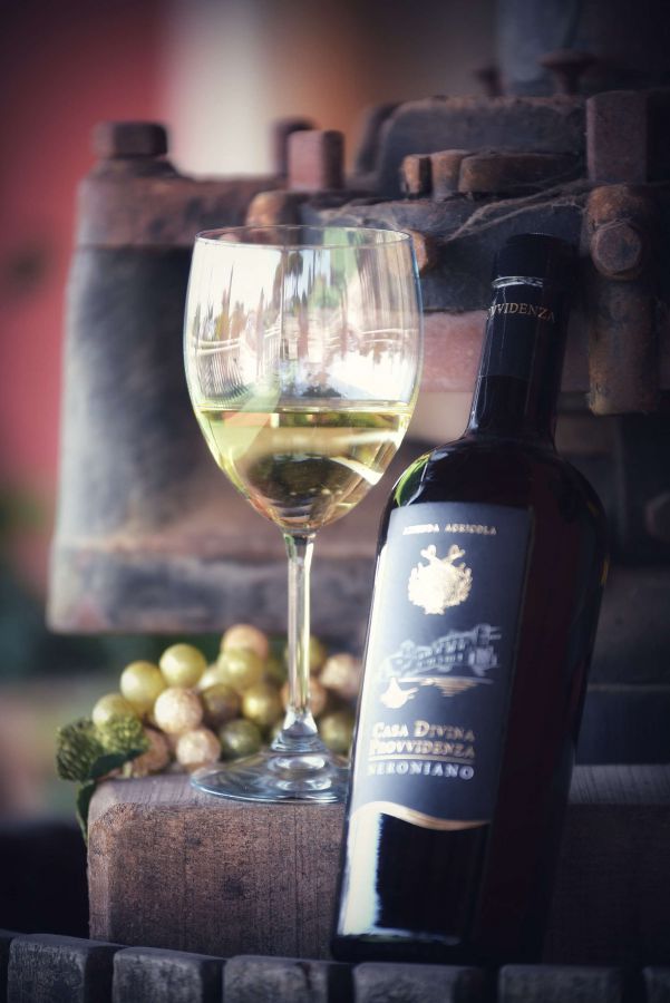 Nettuno Wine Festival