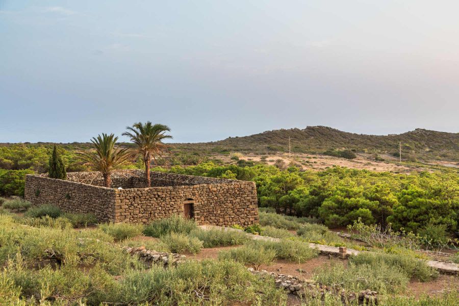 Pantelleria DOC Festival