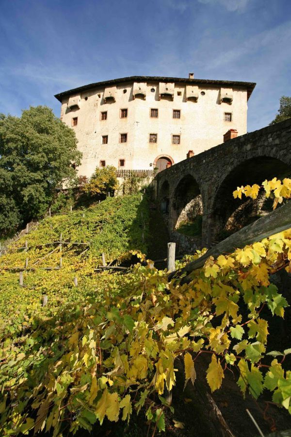 Il vino ai Giardini di Castel Trauttmansdorff