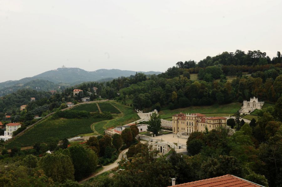 A Torino si vendemmia in città