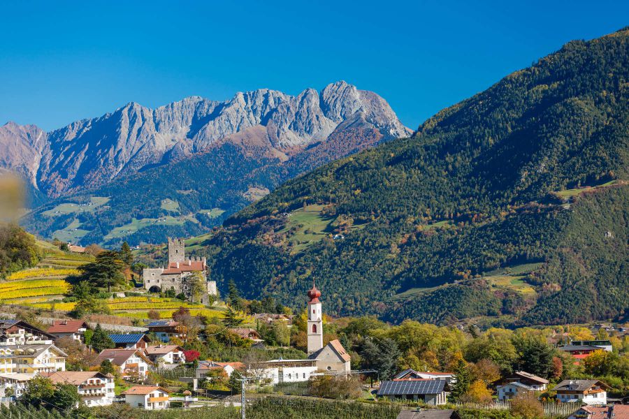 Tornano le Giornate del Riesling