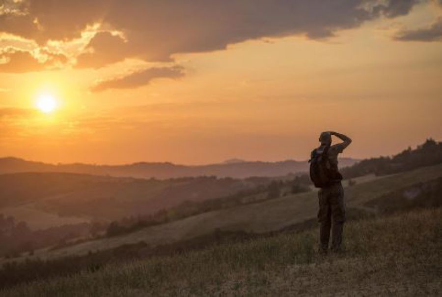 Vino al Vino! La Romagna dello Spungone e dell'Albana
