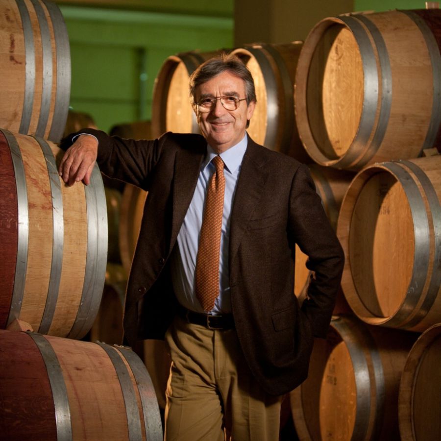 Continua a crescere la qualità dei vini del Sannio