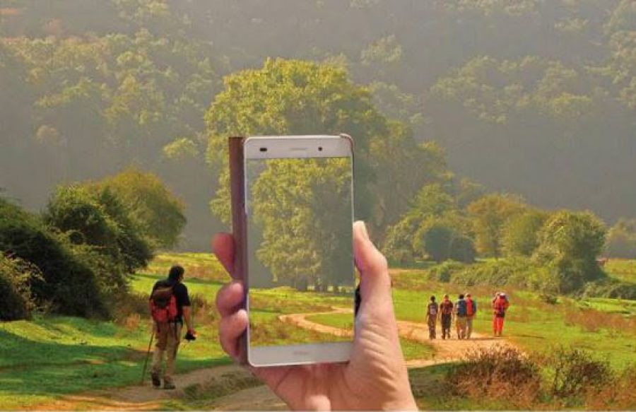 Dal locale al globale: innovazioni, tendenze e strategie nel turismo