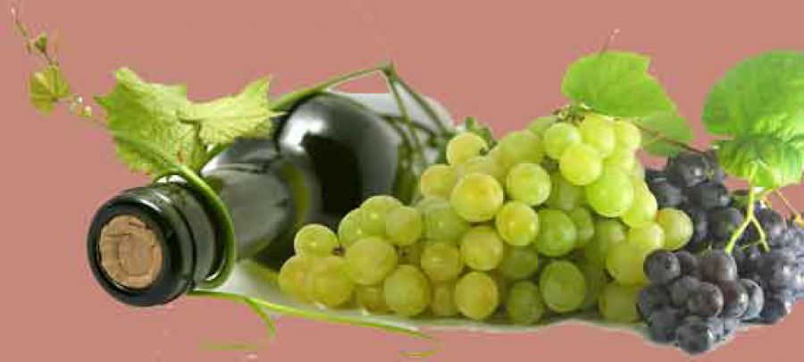 OCM vino: In Italia spesi 337 milioni per promuovere il vino