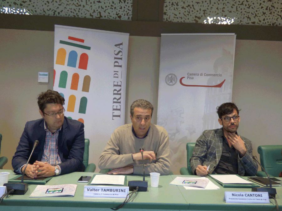 Nasce il consorzio di tutela dei vini delle Terre di Pisa