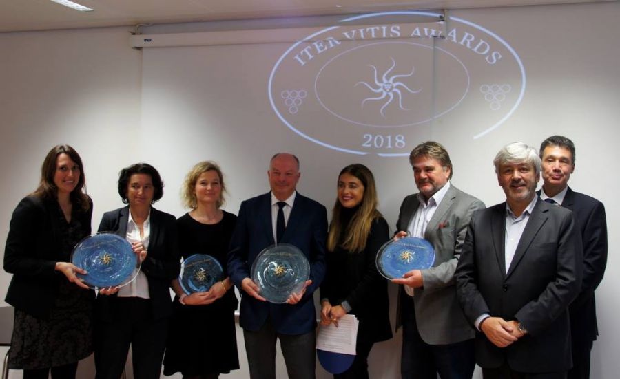 Proclamati a Bruxelles i vincitori del Premio Iter Vitis Award 2018