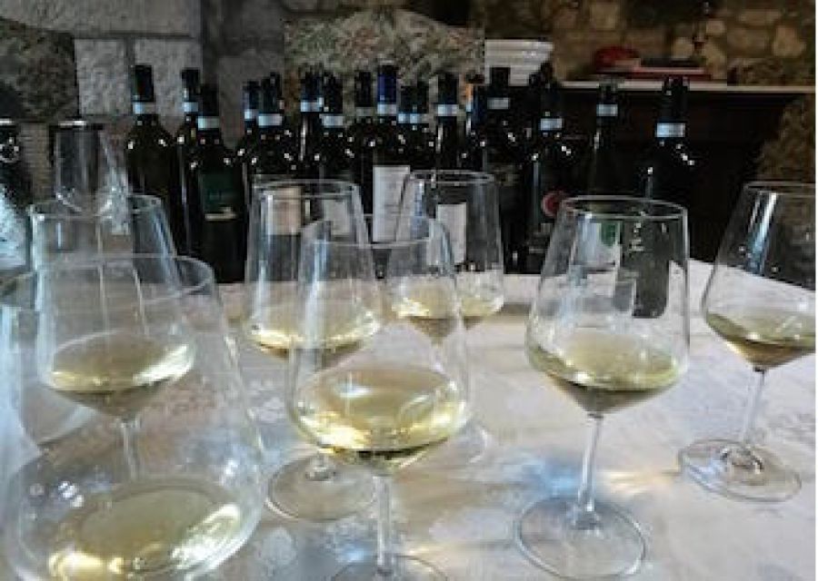 La Città Europea del Vino 2019 parte da Montecitorio