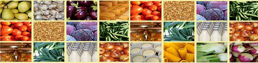 Agroalimentare, piano da 2 miliardi di euro del Mipaaf