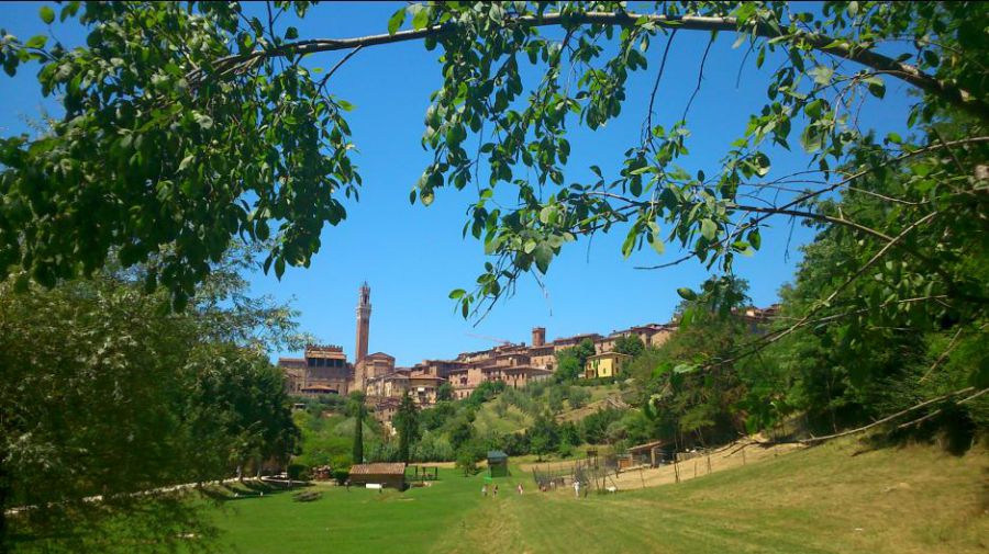 Città dell'Olio: a Siena festeggia il suo ventennale